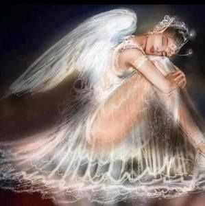 Meet your Posher, Candise